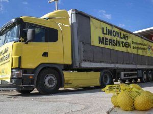 Mersin’den 4 Büyük Şehre Limon Gönderildi