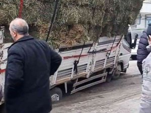 Yol Çöktü, Ot Yüklü Kamyon Çukura Saplandı
