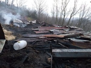 Ahırda Korkutan Yangın: 11 Koyun Telef Olmaktan Kurtarıldı