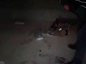 Arabasında Uyuşturucu Madde, Evinde Uçaksavar Mermisi Bulundu
