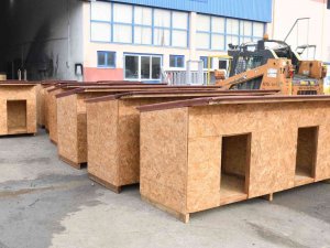 Atıklar Ahşaplar Sokak Hayvanlarına Yuva Oldu