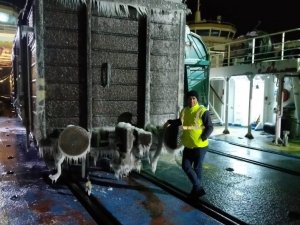 Feribottaki Tren Vagonları Buzla Kaplandı