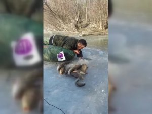 Buz Altından Elle Balık Çıkarıyor
