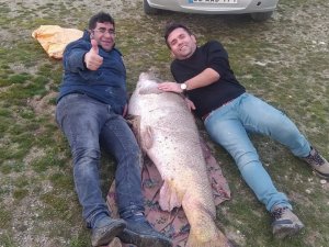 Kahta’da İnsan Boyunda Turna Balığı Yakalandı