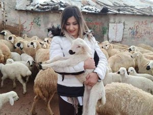 Baharın Müjdecisi Kuzu Doğumları Başladı