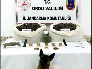 Ordu’da Uyuşturucu Operasyonu
