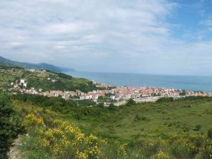 Türkiye’de 53 Bin 214 Türkelili Yaşıyor