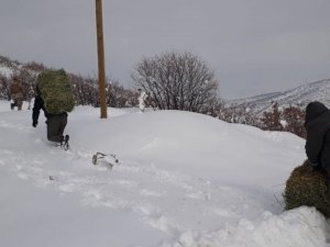 Elazığ’da Yaban Hayatına Bir Ayda 7 Ton Yem Bırakıldı