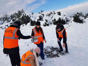 Btü Öğrencileri Sokak Hayvanlarını Unutmadı