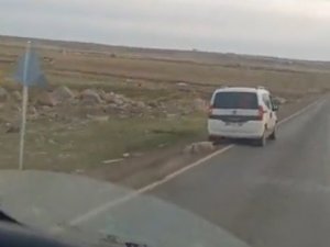 Aracın Arkasına Bağladıkları Koyunu Sürükleyerek Götürdüler