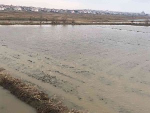 Ergene Nehri Taştı, Tarım Arazileri Su Altında Kaldı
