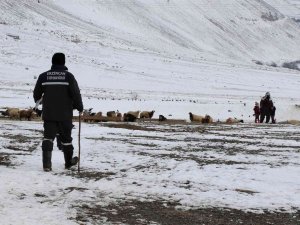 Karlı Yolları Aşıp Besicilere Ulaşıyorlar