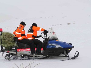 Jak Ve Haydi̇ Ekipleri Yaban Hayatı İçin Seferber Oldu