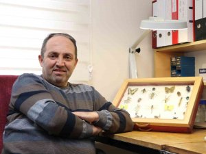 Yenilebilir Böcekler Gıda Kıtlığına Alternatif Olabilir