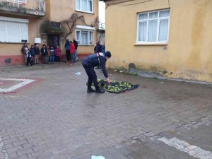 Edremit’te Yaşlı Kadın Kanal Açıcının Altında Kalarak Hayatını Kaybetti