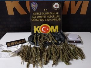 Mersin’de Bir Araçta 506 Gram Esrar Ele Geçirildi