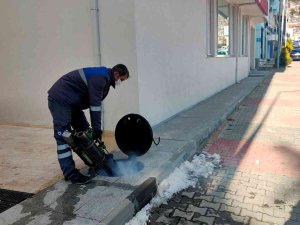 Büyükşehirden 19 İlçede, 1312 Personel İle Sinekle Mücadele