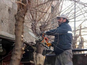 Parklar, Refüjler, Bulvarlar Güzelleştiriliyor