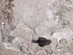 Hazine Bulmak İçin Siyah Tavuk Kesip Kuyuya İndiler