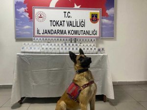 Yolcu Otobüsünde Kaçak Sigara Ele Geçirildi