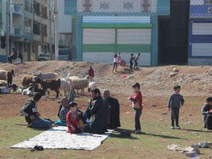 Şanlıurfa’da Bahar Havası Yaşanıyor