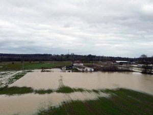 Sakarya’da Tarım Arazileri Sular Altında Kaldı
