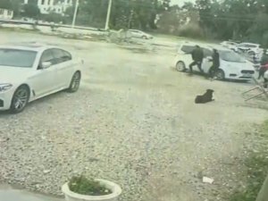 Bodrum’da Güpegündüz Öldüresiye Darp