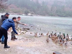 Yaban Hayvanları İçin 50 Kilogram Yem Bırakıldı
