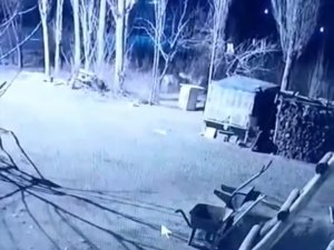 Iğdır’da Köye İnen 6 Aç Kurt, Köpeği Parçaladı