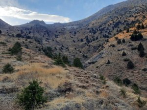 Afşin’de Yılda 300 Bin Ton Gümüş, Çinko Ve Kurşun Çıkarılacak