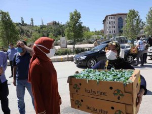 Akyurt’ta Sebze Fidesi Desteğinde Başvurular Başlıyor