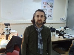 Kar Üzerinde Görüntülenen Yılan Bilim Dünyasını Şaşırttı