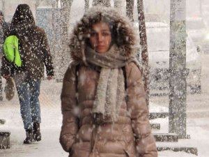 Van’da Lapa Lapa Kar Yağışı