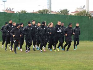 Altay Seri Peşinde