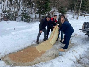 Yaban Hayvanları İçin Doğaya Yem Bırakıldı