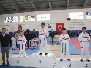 Karatede Madalyalar Sahiplerini Buldu