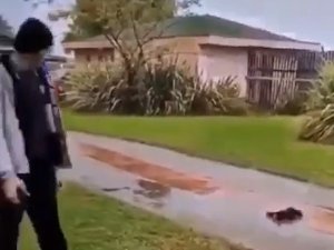 Kedi Yavrusuna Tekme Atan Iraklı Gencin 5 Yıl Hapsi İsteniyor