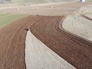 Başvuran Alıyor, Çiftçilere Yüzde 50 Hibeli Tarım Desteği