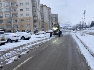 Van’da Karla Mücadele Çalışması