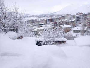 Hakkari’de 239 Yerleşim Yerinin Yolu Kapandı