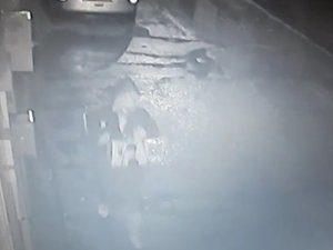 Bursa’da Laptop Ve Plak Çalan Hırsızın Rahat Tavırları Kamerada