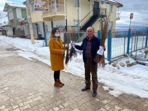 Antalyalı Çiftçilere Ceviz Ve Meyve Ağacı Fidanı Dağıtımı