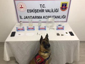 Narkotik Köpek Timiyle Yapılan Aramada Çeşitli Uyuşturucu Maddeler Ele Geçirildi