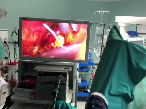 Düzce Üniversitesinden Bir İlk Daha