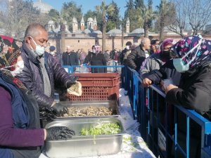 Kocaeli’de Vatandaş Hamsiye Doydu
