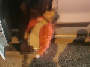 Tartıştığı Adamı Emniyet Kemeriyle Boğarak Öldürdü