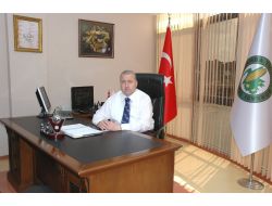 Fındık Fiyatındaki Artışın Nedeni