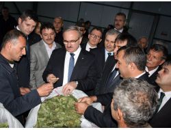 Karacabey’e Defne Kurutma Tesisi