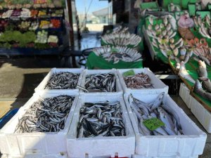 Balık Tezgahlarında Çeşit Çok, Balık Az