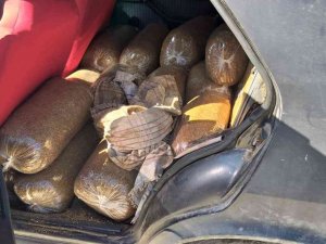 Hatay’da 180 Kilogram Bandrolsüz Tütün Ele Geçirildi